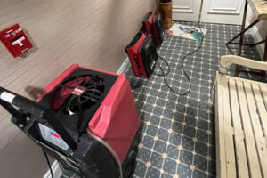 Read more about the article Water Damage Reconstruction and Repairs in Fort Myers, Florida