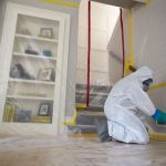 mold damage removal servicemaster by wright