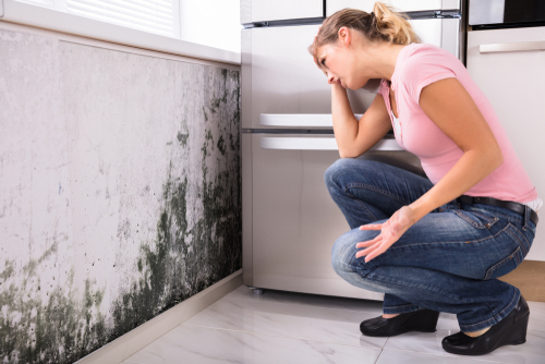 Read more about the article Cleaning Mold In My Home – 3 Facts You Should Know Before Cleaning Mold Yourself