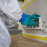 Mold Damage ServiceMaster by Wright