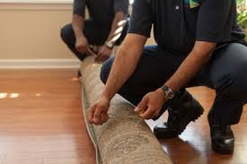 You are currently viewing How to Get the Best Carpet Cleaning Services in Southwest Florida