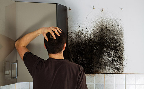 You are currently viewing Mold Remediation: A Practical Guide to Eliminate Mold From Your Home