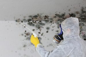 Read more about the article Mold Problems – How To Remove Mold From Kitchen and Bathroom Tiles