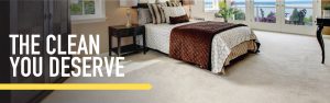 Read more about the article Carpet Cleaning Tips