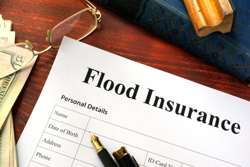 Read more about the article How to Properly File an Insurance Claim
