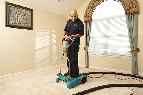 Read more about the article How to Avoid Carpet Stains this Thanksgiving