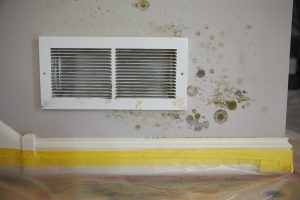 Read more about the article How Do You Deal With Indoor Air Pollution?