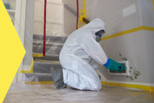 Read more about the article Selling Your Home Without Mold Remediation: What You Require to Know