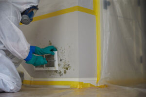 Read more about the article Avail Yourself of Mold Remediation Services to Keep Your Home Hygienically Safe