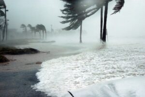 Read more about the article Top Electrical Safety Tips After a Flood in Florida
