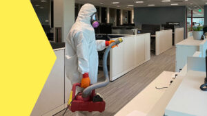 Read more about the article Keep Your Space COVID-Free By Hiring Disinfection Services!