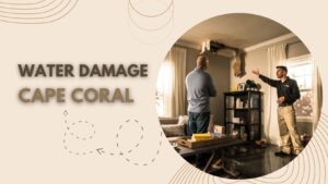 Read more about the article Quick Tips To Choose the Best Water Damage Professionals