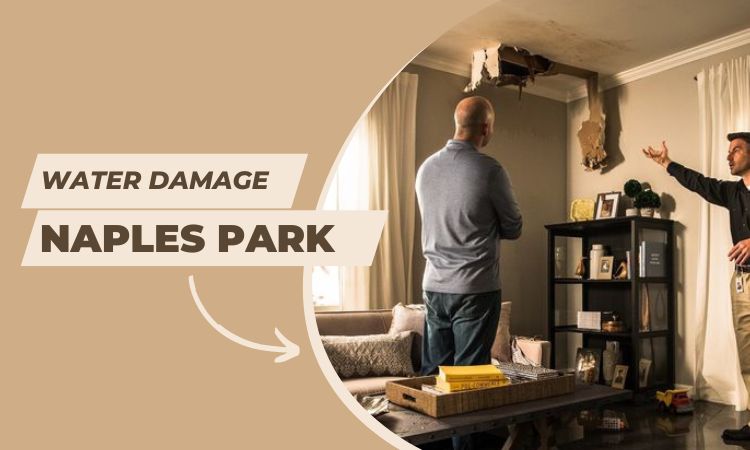 Read more about the article Water Damage Restoration: Key Benefits Of Hiring A Professional For The Job
